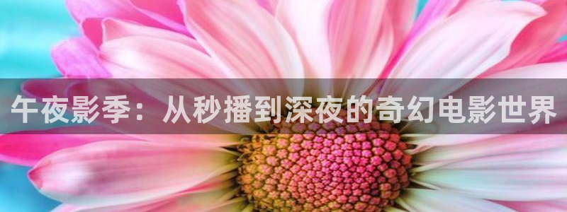 酷客电影在线观看：午夜影季：从秒播到深夜的奇幻电影世界