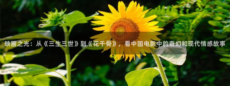电视剧 酷客影院：映画之光：从《三生三世》到《花千骨》，看中国电影中的奇幻和现代情感故事