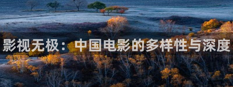 酷客影院长津湖：影视无极：中国电影的多样性与深度