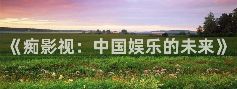 姐姐的朋友酷客影院：《痴影视：中国娱乐的未来》