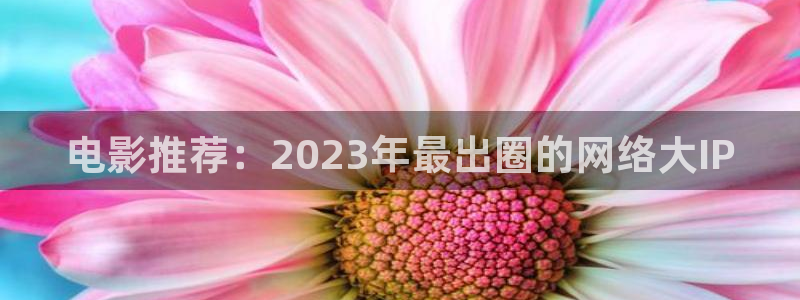 酷客影视app：电影推荐：2023年最出圈的网络大IP