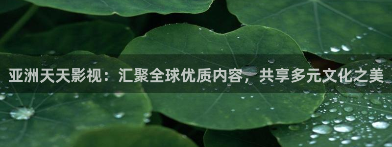酷客影院安全吗：亚洲天天影视：汇聚全球优质内容，共享多元文化之美